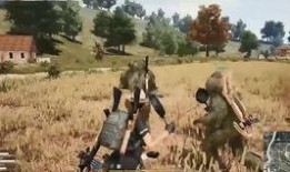 皱鸡在线观看,揭秘皱鸡世界的趣味之旅